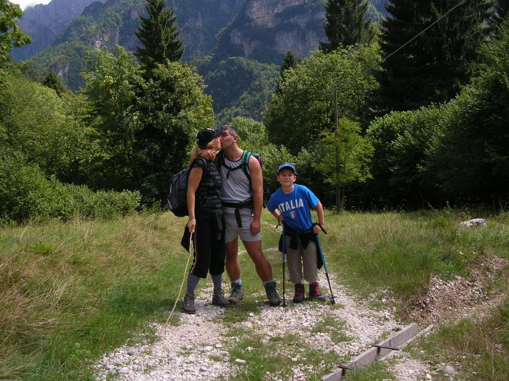 بيلونو B&B Colli'S Dolomites المظهر الخارجي الصورة