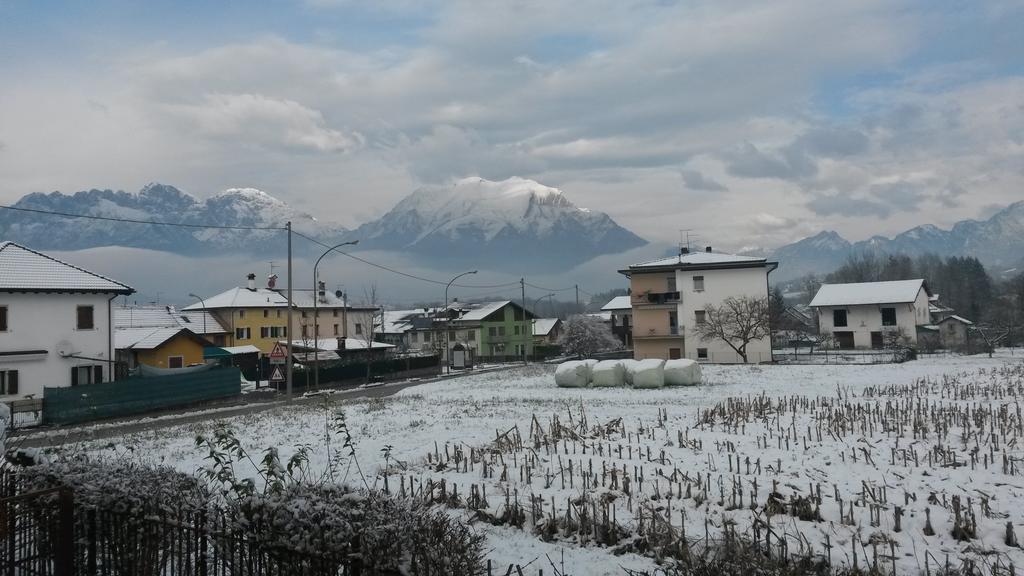 بيلونو B&B Colli'S Dolomites المظهر الخارجي الصورة